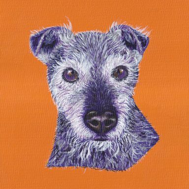 My elderly Patterdale, Zed, painted in acrylic on a tangerine background