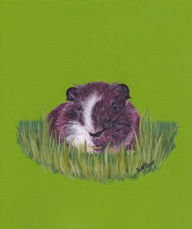 Wilbur the Guinea Pig on a green background