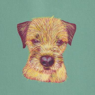 Mylo Border Terrier Portrait Yellow Ochre and Green Background