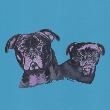 My Two Pugs Frenchie Cross Cousins 