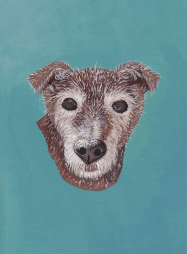 Dog Portrait Painting of my Patterdale Terrier Zed, in Chocolate brown on a teal background. 